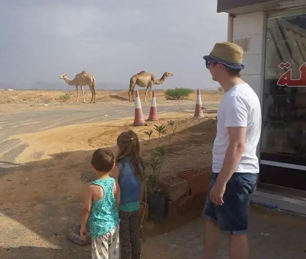 Stopping at the roadside to watch camels crossing the desert